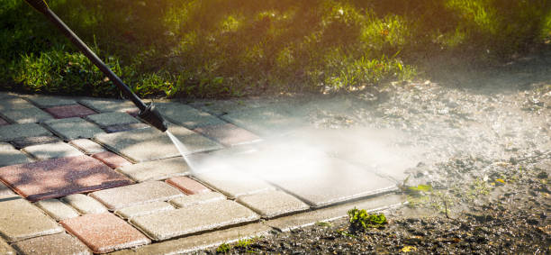 Best Sidewalk and Walkway Cleaning  in Kirkwood, MO
