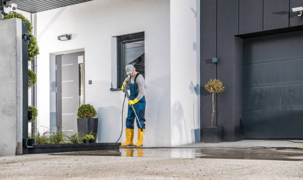 Animal Enclosure Cleaning in Kirkwood, MO
